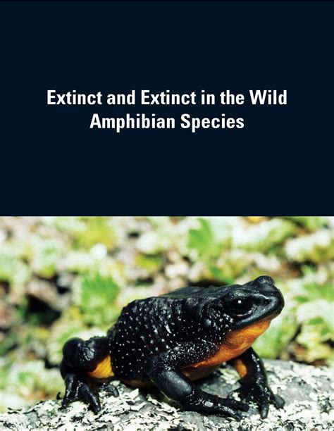 Extinct And Extinct In The Wild Amphibian Species By Emy J Riquero Issuu