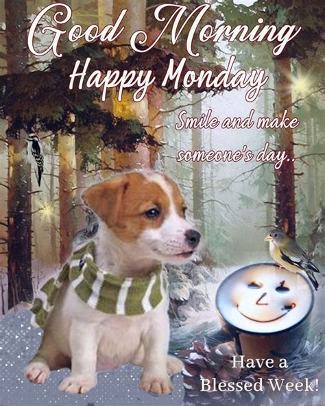 Pl706 Puppylove Morning Monday March2 2020 Puppy Love Blessed
