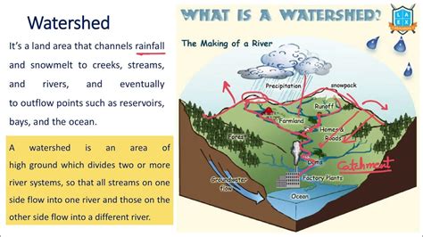 What Is Watershed Watershed అంటే ఏమిటి La Excellence Youtube