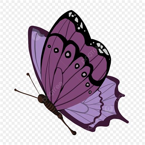 Flying Butterflys Png Transparent Flying Purple Butterfly Illustration