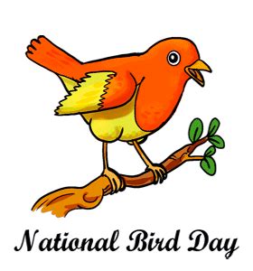 National Bird Day In The US Friday January 5 2024