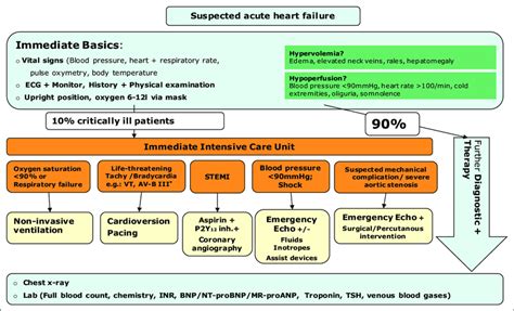 Initial Assessment Of Patients With Acute Heart Failure Adapted From