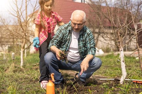 Premium Photo Senior Grandfather And Grandbabe Gardening In The Backyard Garden