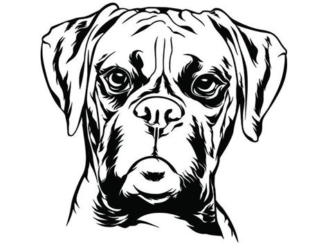 Learn to draw faces from musical notes! Boxer Dog Line Drawing | Free download on ClipArtMag