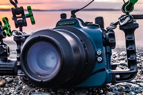 Best Underwater Camera Housings Underwater Photography Guide