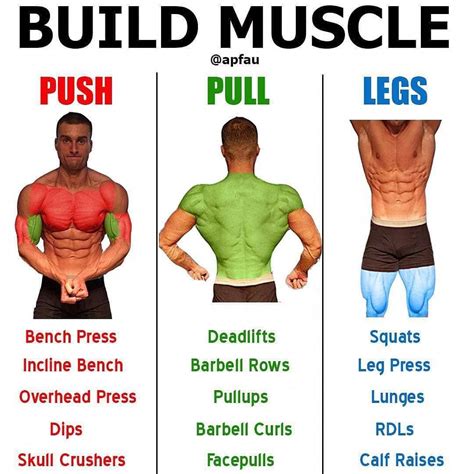 Tips For Choosing The Right Type Of Exercise To Increase Muscle Mass
