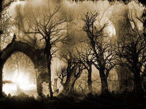 Sleepy Hollow Haunted Forest Haunted Woods Gothic Wallpaper