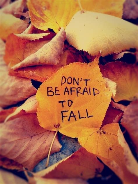 Fall Themed Inspirational Quotes Quotesgram