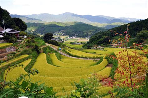 Japanese Countryside