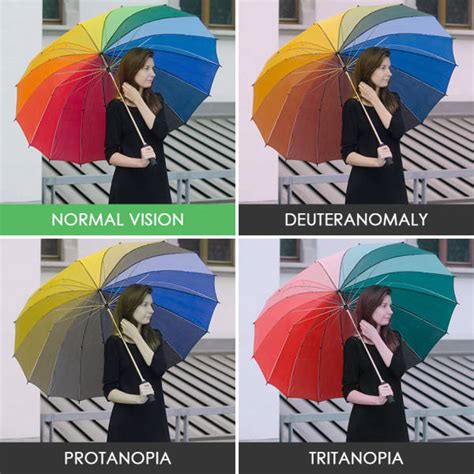 Take A Look At The World The Way Colorblind People See It 40 Pics