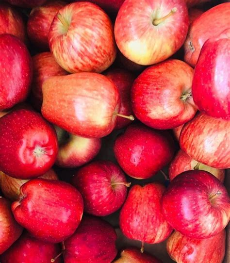 Organic Apple Freshindiaorganics