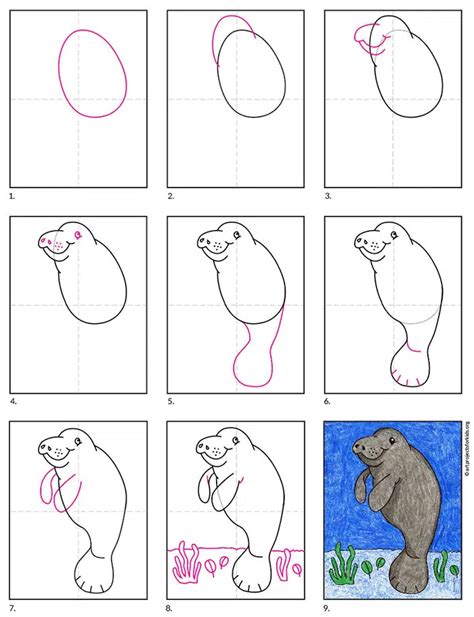 Easy How To Draw Manatee Tutorial And Manatee Coloring Page