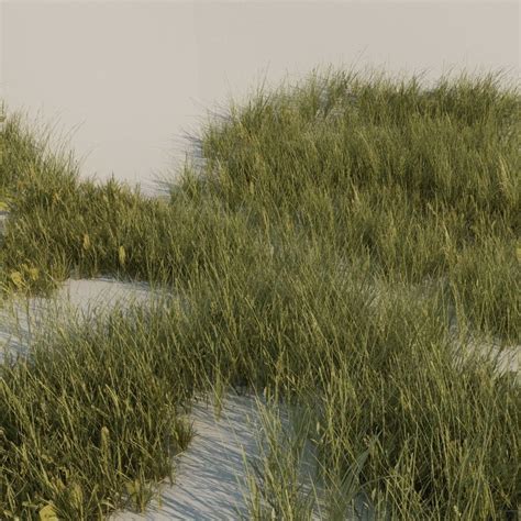 3d Model Grass Pack A Vr Ar Low Poly Cgtrader
