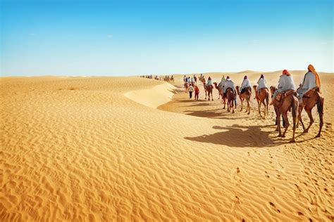 The Top 10 Things To Do In Morocco Sahara Attractions And Activities