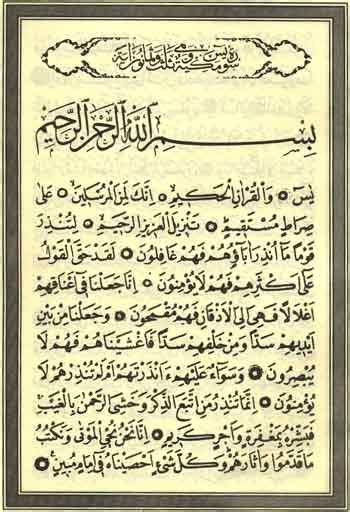 pdf download pdf of surah yaseen in english for free using direct link, latest surah yaseen pdf download link available at www.musharrafhussain.com. File:First few ayats from Surah Ya'Seen.jpg - Wikipedia