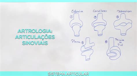 Artrologia Articulações Sinoviais Felipe Barros