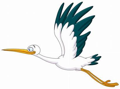 Depositphotos Stork Flying Garza