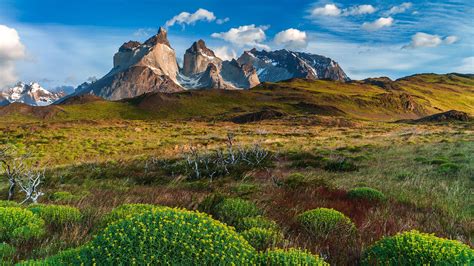Landscape at Lago Pehoé lake National Park Torres del Paine in southern Chile Windows