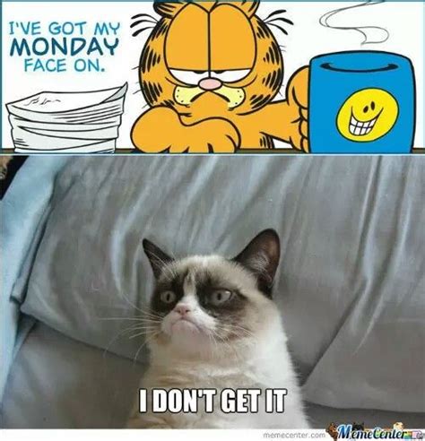 Cat Memes Funny Memes Monday Face Monday Humor Meme Center Grumpy