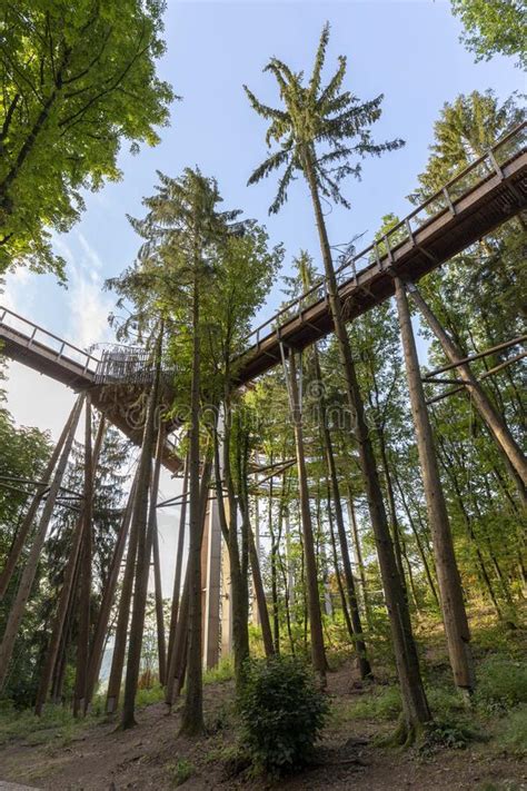 Landscape Of The Saarland With Treetop Path At The Saar Panoramic Point