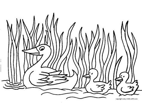 Free Printable Duck Coloring Pages Download Free Printable Duck