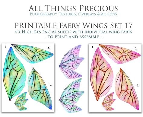 Printable Fairy Wings Set 17 Cosplay Fairy Costume Fairy Wing Fine