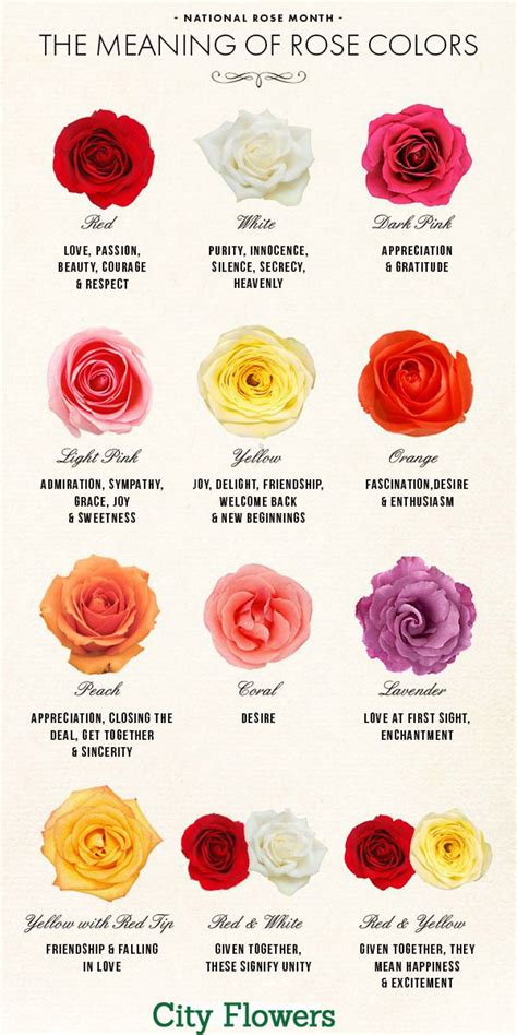 Roses Guide Roses Meaning Visually Rose Color Meanings Flower Meanings Flowers