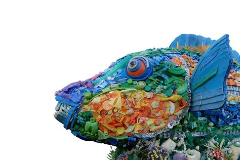 Tucson Botanical Gardens - Your Urban Oasis in the heart of Tucson