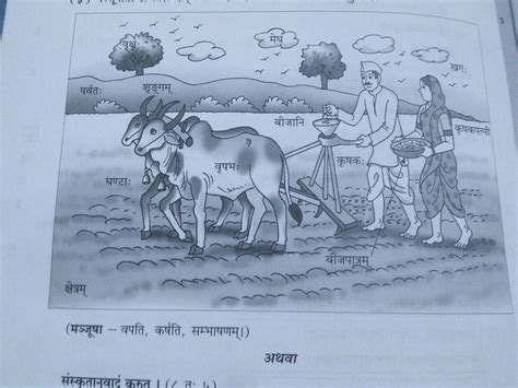 Chitra Varnan In Sanskrit