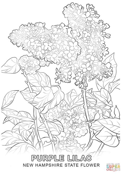 A journal of performance and art, new york county, revised. New Mexico Tree Coloring Page - Coloring Home