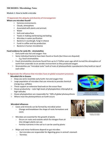 Complete Study Notes For Microbiology Micro2031 Microbiology Usyd