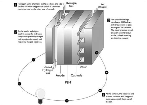 How Fuel Cells Work Nova Pbs
