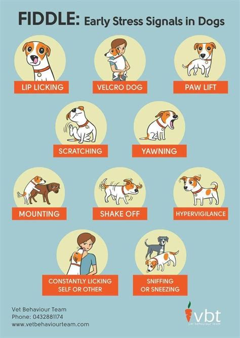 Early Stress Signs In Dogs Signlanguageinfographic Süße Hunde Welpen