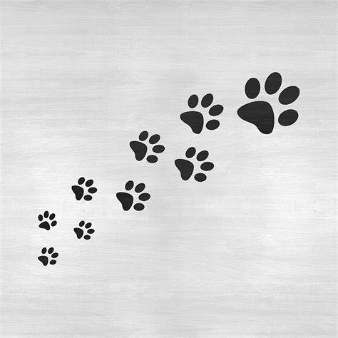 Trail Of Paw Prints Stencil For Walls And Crafts Made In Usa Reusable