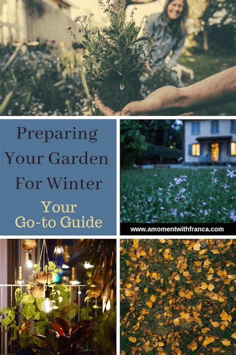 Preparing Your Garden For Winter Your Go To Guide • A Moment With Franca