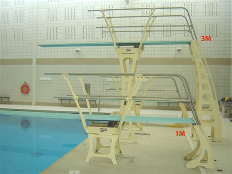 Duraflex Durafirm 3 Meter Dive Stand With Double Rail Both Sides No