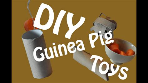Diy Guinea Pig Toys Youtube