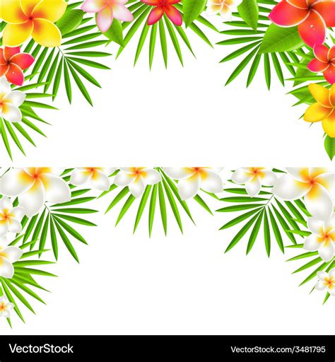 Tropical Flowers Border Set Royalty Free Vector Image
