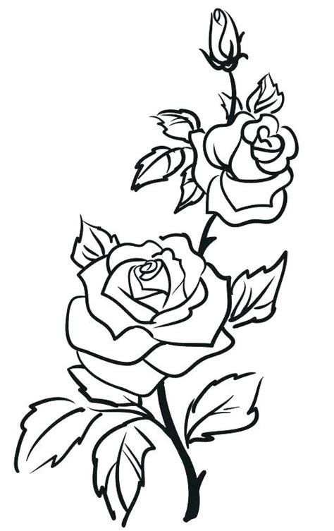 Rose And Stem Drawing Free Download On Clipartmag