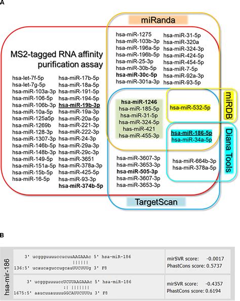 frontiers further evidence that micrornas can play a role in hemophilia a disease