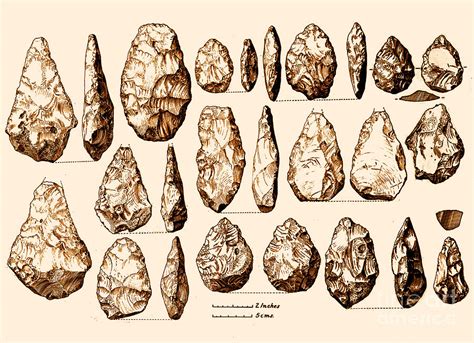 Lower Paleolithic Tools 7 Types Of Tools Used During Middle