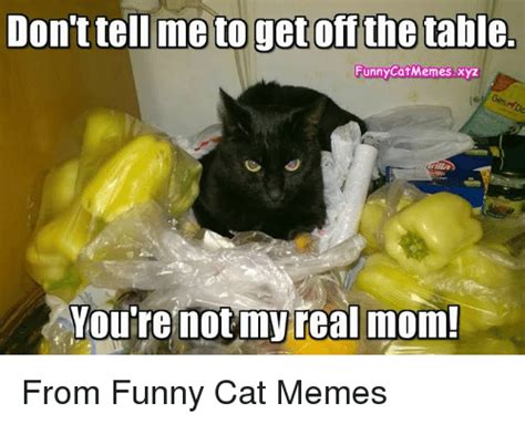 Dontteil Metogetoff The Table Funny Catmemesxyz Youre Not My Real Mom