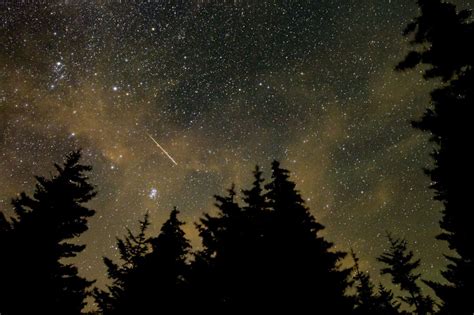 Orionid Meteor Shower Sparked By Halleys Comet To Peak Friday Night