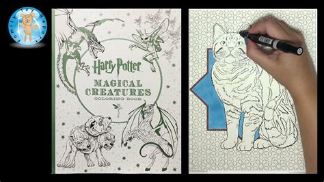You can use one free printable or all of them for a harry potter party, halloween party, birthday party, or just for fun. Harry Potter Magical Creatures Coloring Book Speed Color ...