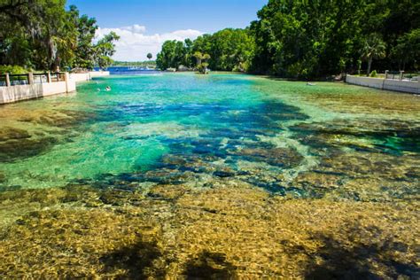 14 Best Natural Springs Near Orlando You Must Visit Florida Trippers