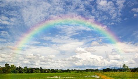 What is the origin of the 7 colors of the rainbow? What Are the Colors in the Rainbow? | Sciencing