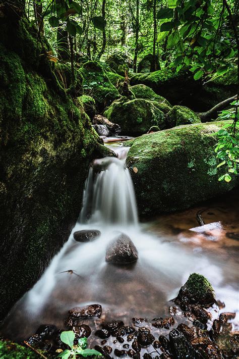 Gertelbach Waterfalls Black Forest Photograph By Alexander Schmitz