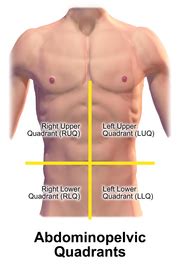 Anatomical terminology is a form of scientific terminology used by anatomists, zoologists, and health professionals such as doctors. Quadrants and regions of abdomen - Wikipedia
