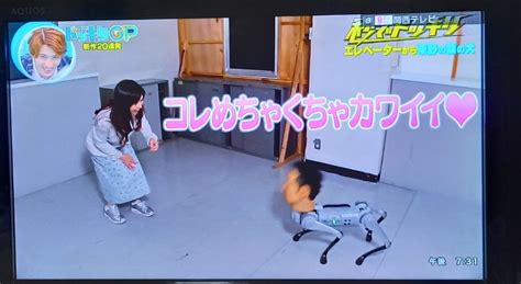 2022年7月16日 ドッキリgpで『顔犬』が話題に！【ドッキリグランプリ】 トレンドアットtv