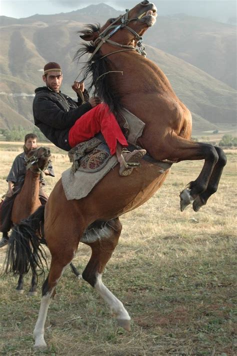 If you had to travel across the harshest deserts on earth overland, you a horse needs abundant fresh water every day. Pin by Lekanto Drifter on Tam References | Horse rearing ...